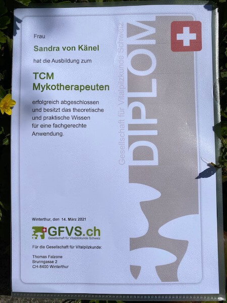Sandra von Känel Mykotherapie Zürich